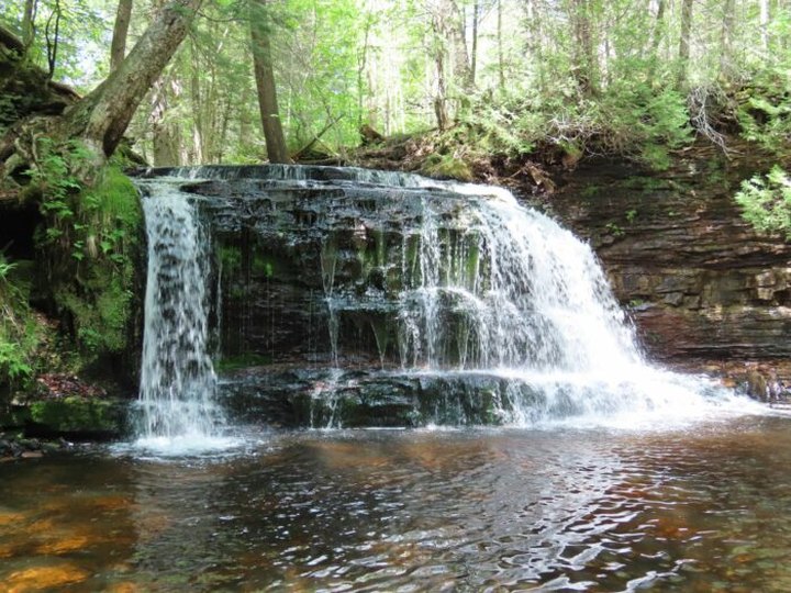 This Michigan Waterfall Is So Hidden, Almost Nobody Has Seen It In Person
