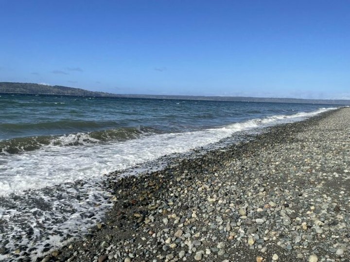 The Little-Known Beach In Washington You Can Only Reach By Hiking This 1.1-Mile Trail