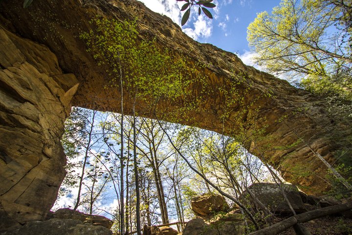 Take A Hike To A Kentucky Rock Formation That’s Like The Miniature Gateway Arch
