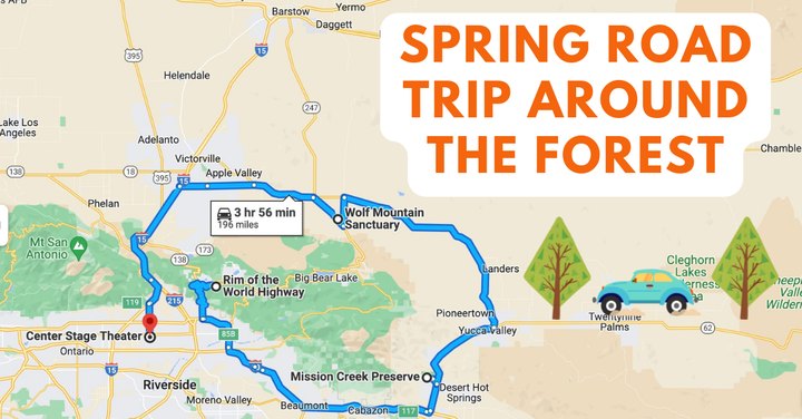 This 3.5-Hour Road Trip Around San Bernardino National Forest Is A Glorious Spring Adventure In Southern California