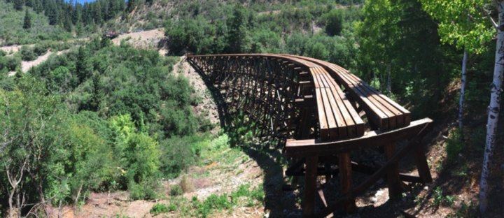 The Bridge To Nowhere In The Middle Of The New Mexico Woods Will Capture Your Imagination