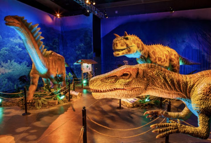 There’s A Dinosaur-Themed Attraction In Massachusetts Called Dino Safari