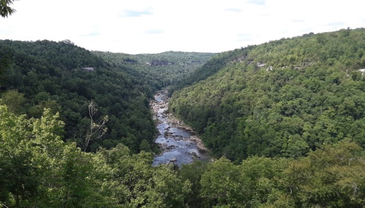 The Magical Place In Tennessee Where You Can View The Big South Fork National River
