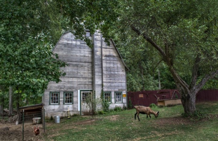 This Petting Zoo In Connecticut Is Also A Bed And Breakfast And It's Fun For The Whole Family