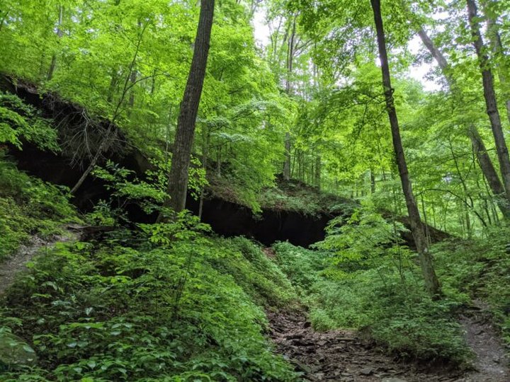Follow The Low Gap Trail In Indiana For A Truly Magical Spring Season