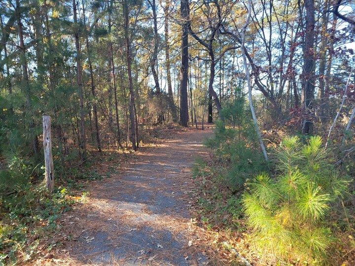 The Easy 1.4-Mile Seahawk Nature Trail Will Lead You Through The Delaware Forest