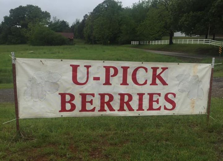 Pick Your Own Strawberries At This Charming Farm Hiding In Arkansas