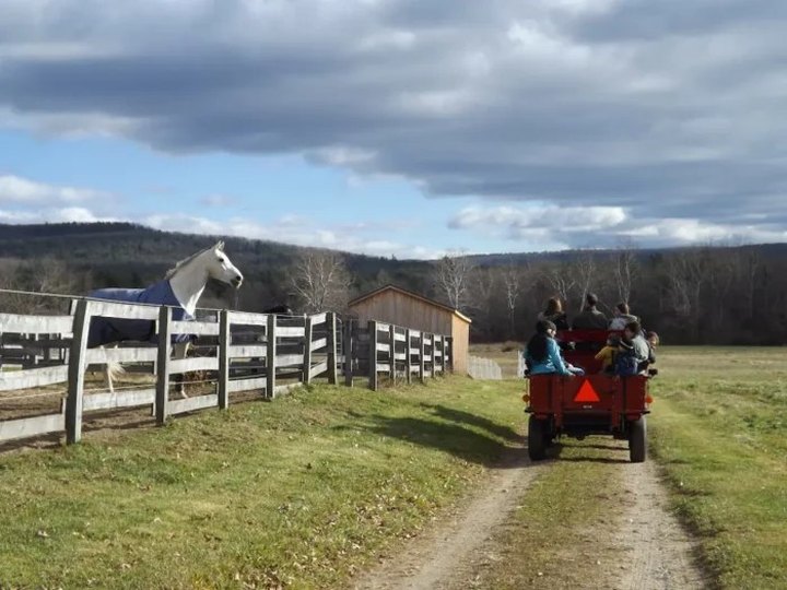 This Airbnb On A Farm In Massachusetts Is One Of The Coolest Places To Spend The Night