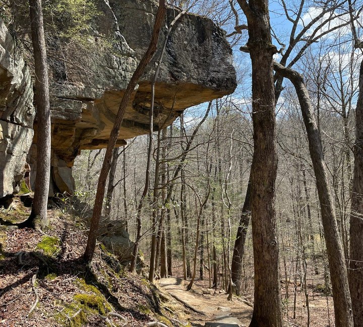 Bear Creek Outcropping Is A Beginner-Friendly Waterfall Trail In Mississippi That's Great For A Family Hike