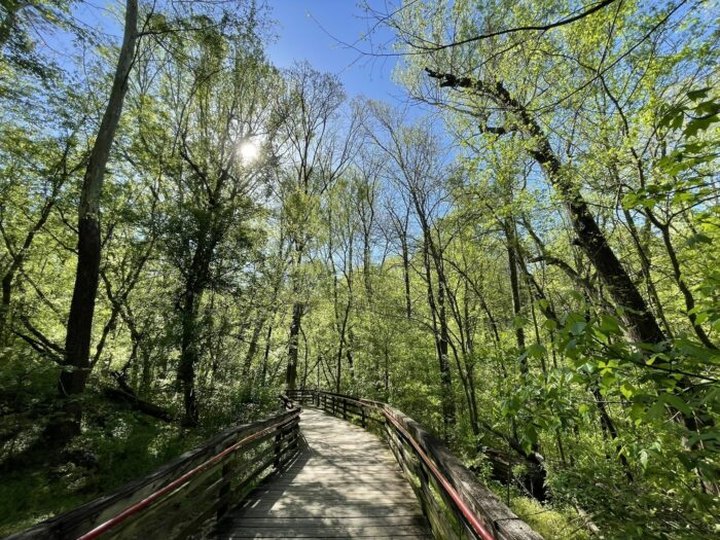 7 Easy And Beautiful Spring Hikes Everyone In Georgia Will Love
