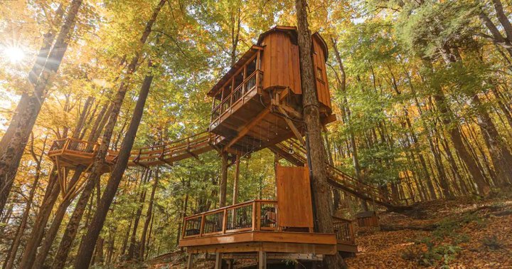 Sleep Among Towering Maples At The Chez' Tree Rest Treehouse In New York