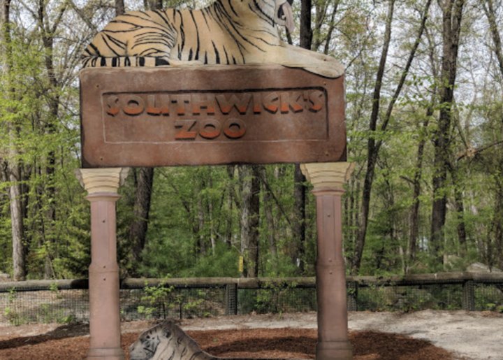 One Of The Largest Zoos In The U.S. Is In Massachusetts, And It's Magical