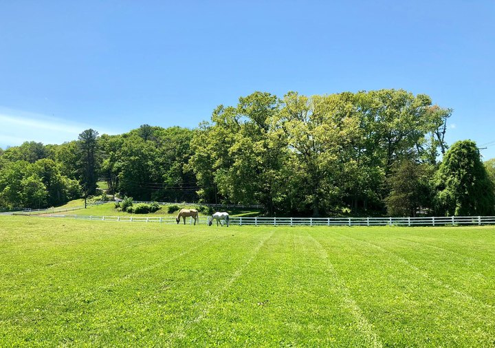 Phoenix Rising Equestrian Center Is An Awesome Horse Farm Hiding In Rhode Island And You’ll Want To Visit
