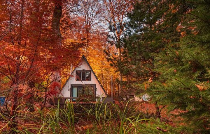 Forget The Resorts, Rent This Charming Waterfront Airbnb In Michigan Instead