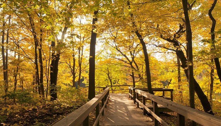 3 Illinois Nature Centers That Make Excellent Family Day Trip Destinations