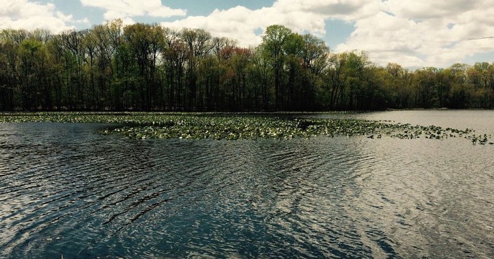 9 Gorgeous Lakes In Delaware That You Must Check Out This Summer