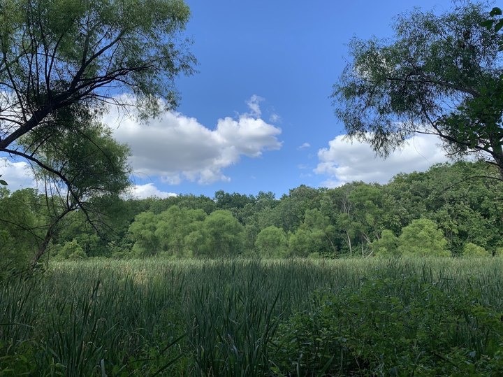 This Nature Preserve Near Detroit Is So Hidden You’ll Probably Have It All To Yourself