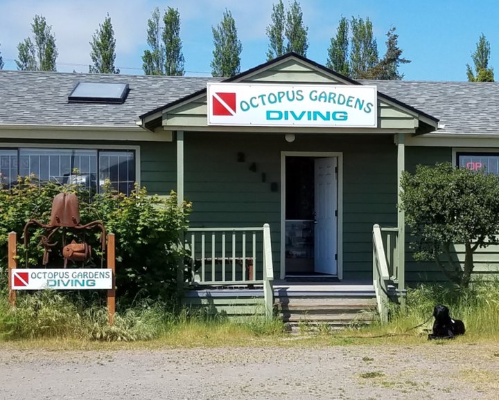 Octopus Gardens Is A Scuba Shop Hiding In Washington That's Perfect For Your Next Adventure