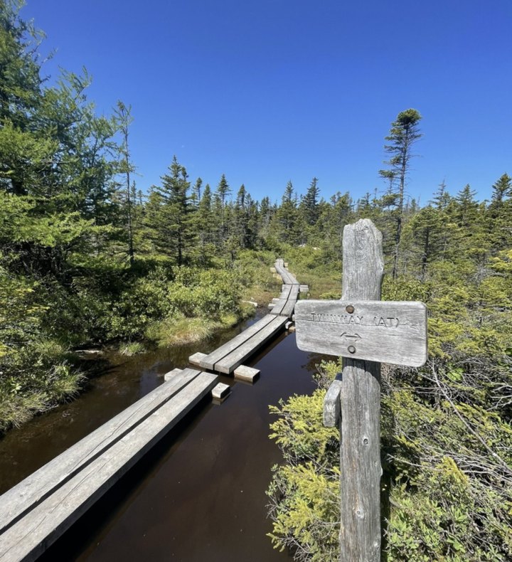 Explore New Hampshire's Appalachian Trail At This Beautiful State Park
