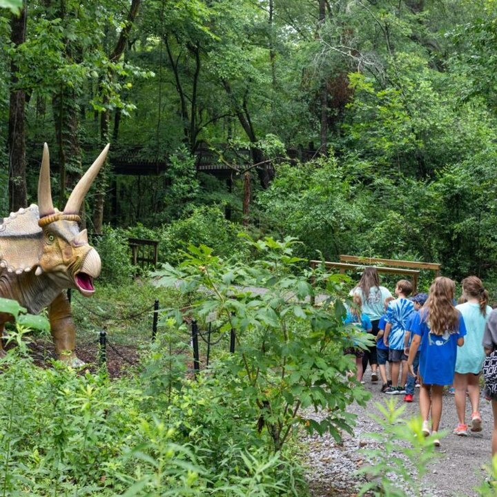 The Dinosaur Trail Is A Unique Trail In Mississippi Where Dinosaurs Come To Life