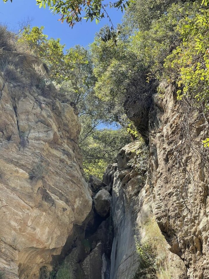 The Black Star Canyon Falls Trail In Southern California Was Named One Of The Scariest Haunted Hikes In The U.S.