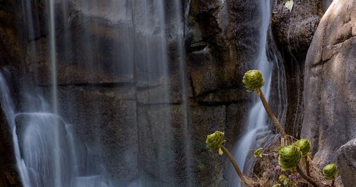 These 10 Epic Waterfalls Near San Francisco Will Take Your Breath Away