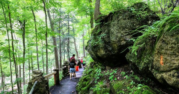 9 Easy Hikes To Add To Your Outdoor Bucket List In Buffalo