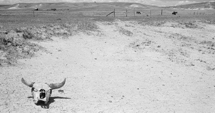 These 9 Photos From South Dakota's Dust Bowl Will Break Your Heart