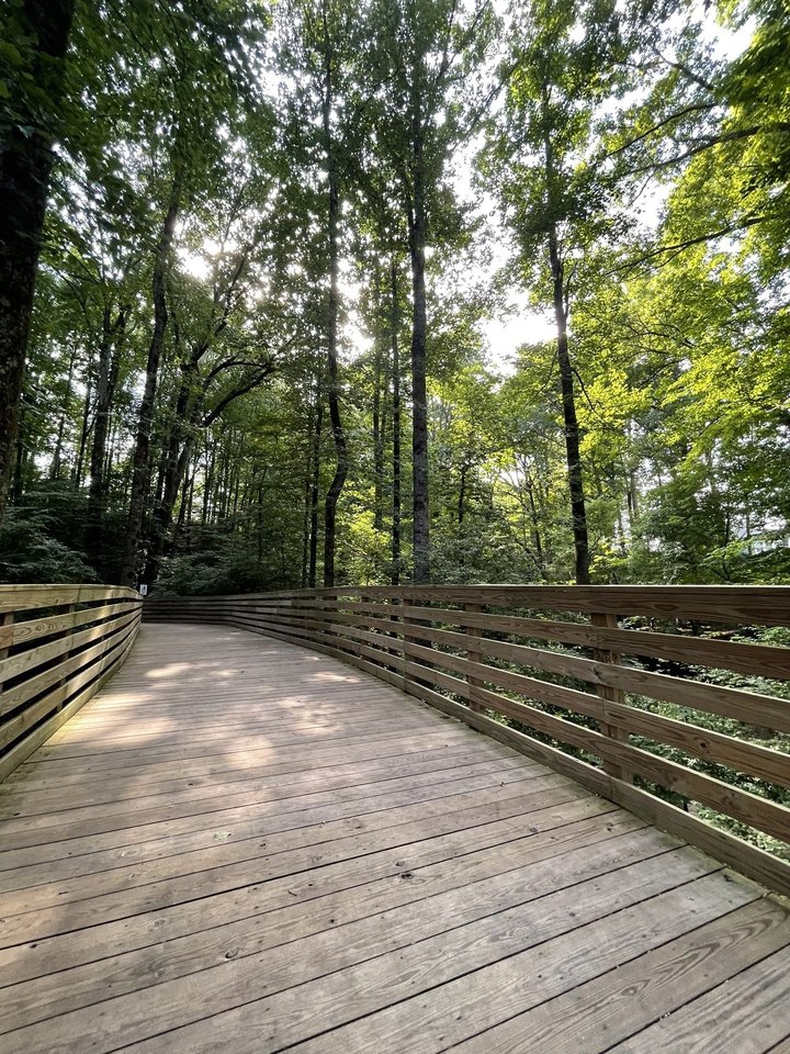 Take A Boardwalk Trail Through Parks On The South Peachtree Creek Path Trail In Georgia