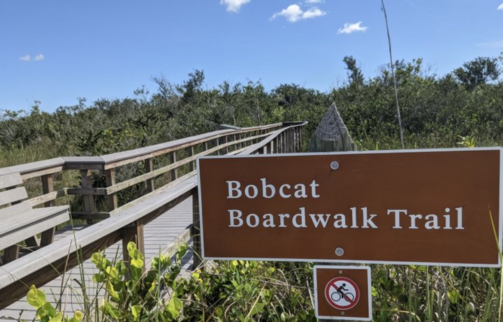 Take A Boardwalk Trail Through Marshlands Of The Everglades In Florida