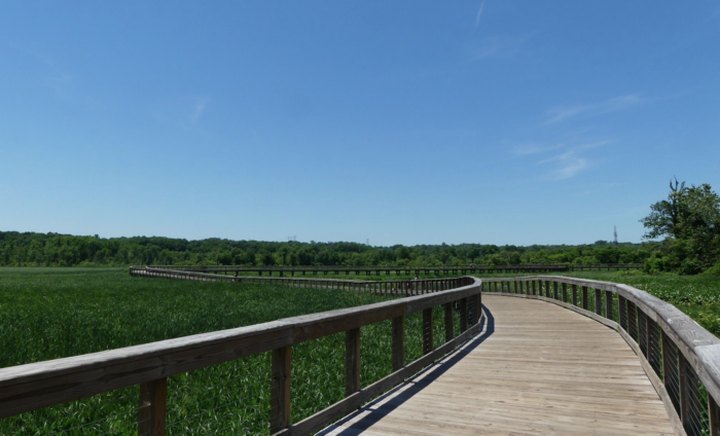 Take A Boardwalk Trail Through The Wetlands Of Neabsco Creek In Virginia