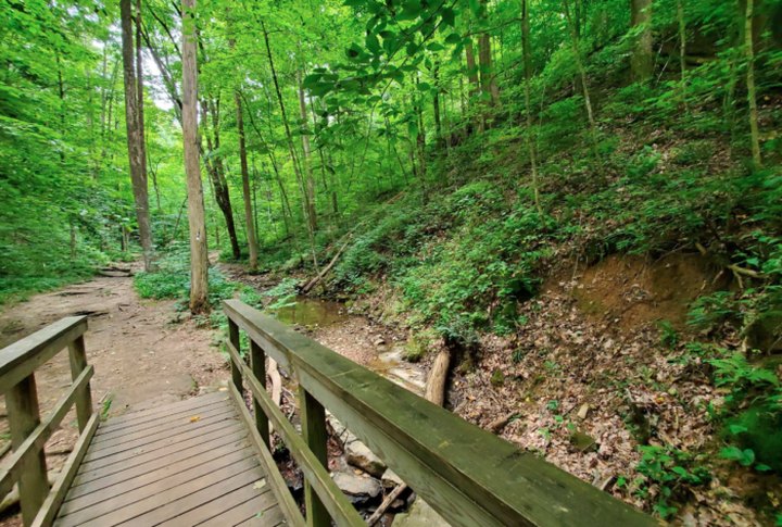 The Easy 1.2-Mile Hemlock Cliffs Trail Will Lead You Through The Indiana Forest