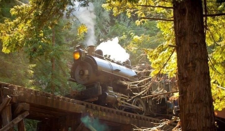 Ride A Restored 1909 Steam Engine Through The Redwoods On This One-Of-A-Kind Northern California Adventure