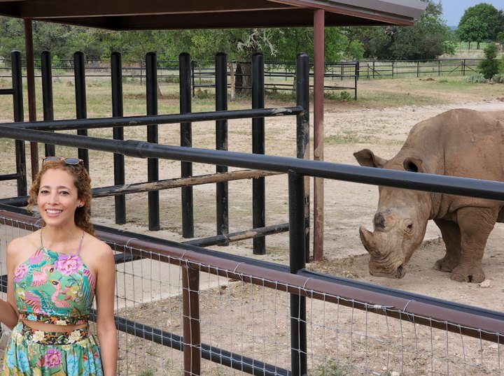 Drink Wine With Rhinos At The Rhinory, A Unique Animal Sanctuary In Texas