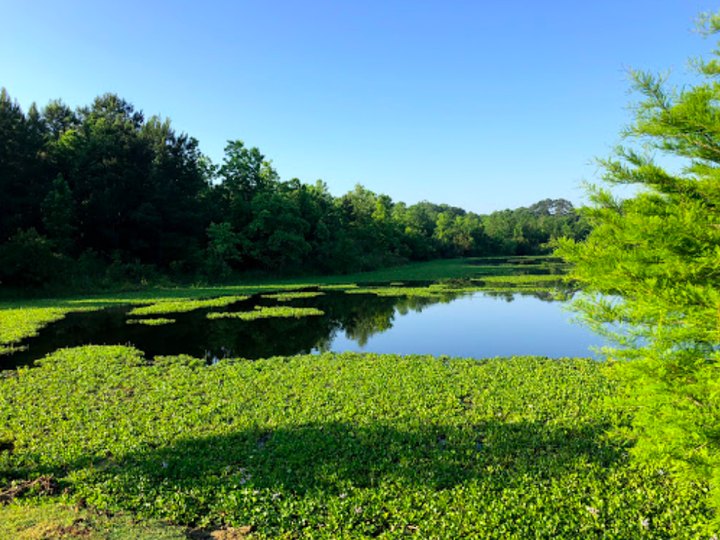 This Picturesque Park Is An Undiscovered Oasis Just Outside Baton Rouge, Louisiana