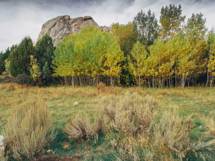 The Fall Foliage At These 7 State Parks In Idaho Never Fails To Enchant