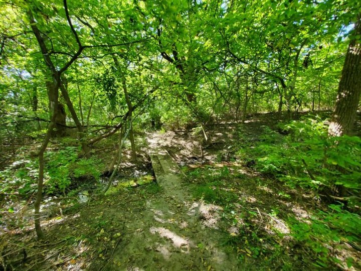 Ogle Magnificent Trees And Feel Miles Away From Your Troubles On This Fairy Tale Trail In Kansas