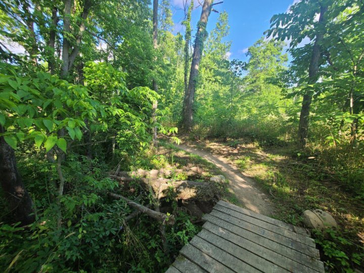 Traverse Magical Boardwalks And Picture-Perfect Woodlands On This Fairy Tale Trail In Indiana
