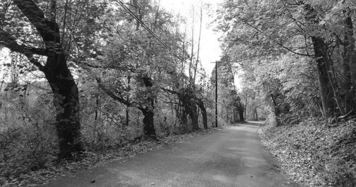 Driving Down This Haunted Pennsylvania Road Will Give You Nightmares