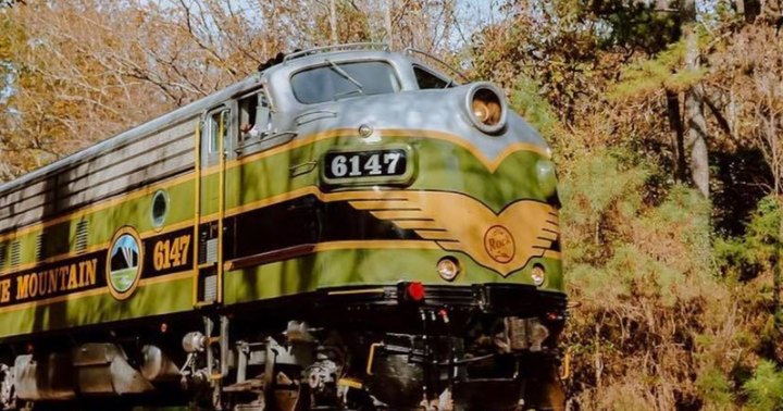 This Open Air Train Ride In Georgia Is A Scenic Adventure For The Whole Family