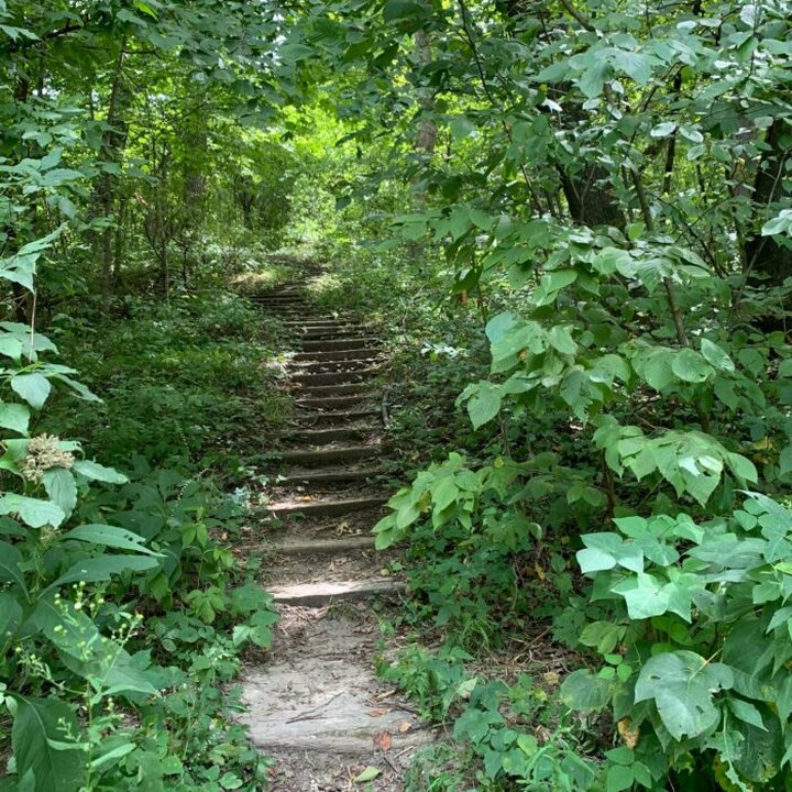 Margo Frankel Trail Is A Wooded Hike In Iowa That Leads To A Secret Playground