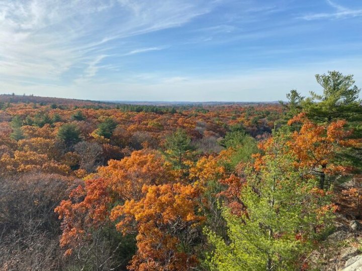 The Fall Foliage At These 7 State Parks In Massachusetts Never Fails To Enchant