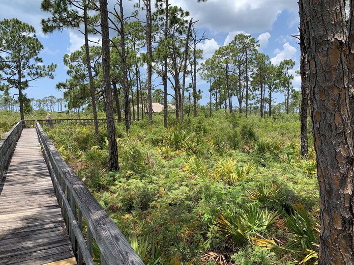Briggs Nature Center Boardwalk Trail In Florida Leads To One Of The Most Scenic Views In The State