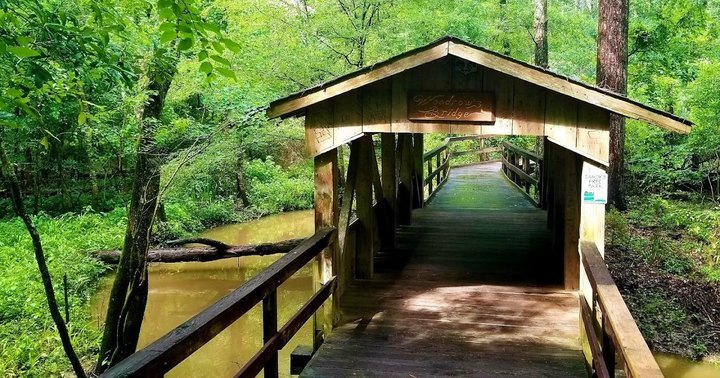 Covered Bridges, Suspension Bridges, And Beautiful Blooms Will Enchant You On This Fairy Tale Trail In Louisiana