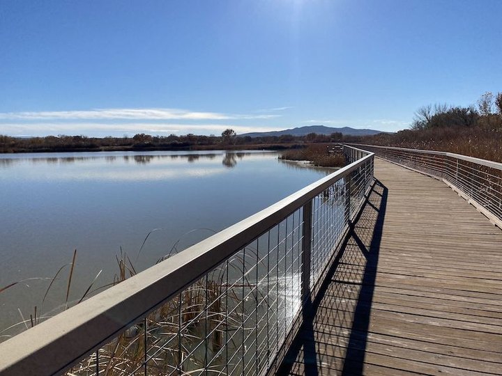 Take A Boardwalk Trail Through The Wetlands Of The Bosque Del Apache Wildlife Refuge In New Mexico