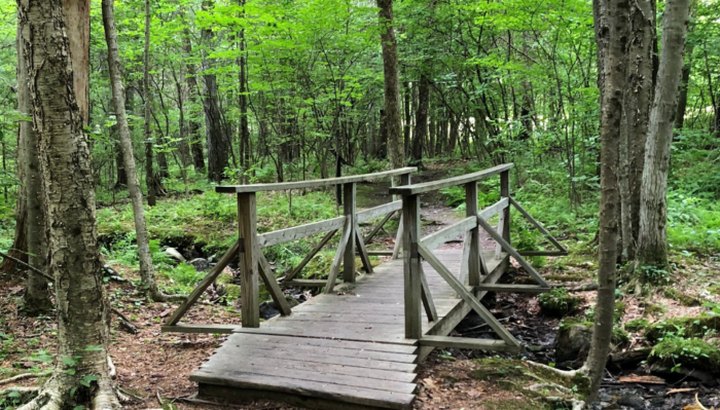The Scenic New Hampshire Trail That Follows A Historic Natural Site