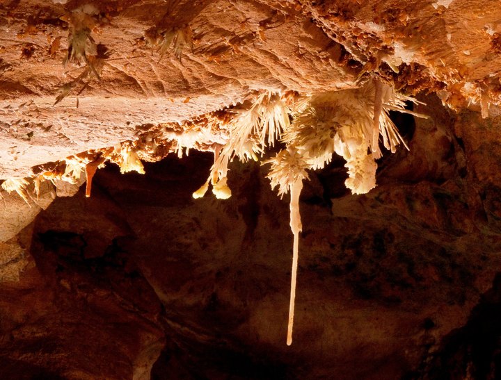 Hike Through A Cavern, Then Dine At A Cave-Themed Restaurant All At This Underrated Virginia Spot