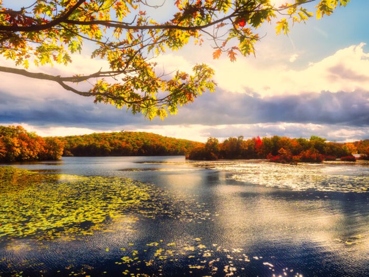 The Fall Foliage At These 5 Parks In New Jersey Never Fails To Enchant