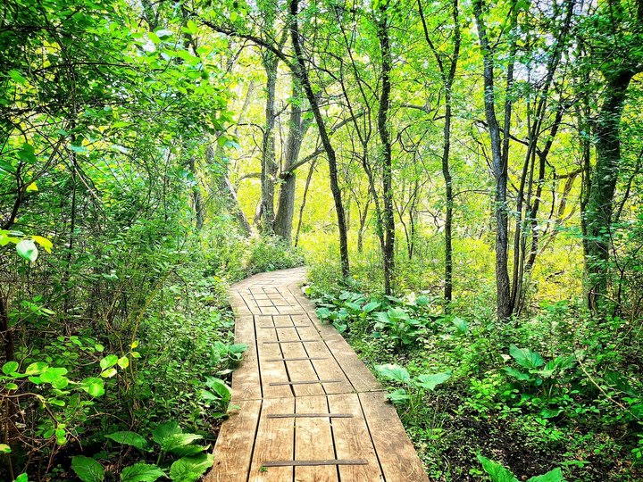 Stroll Your Stress Away On These Trails Near Detroit At Stage Nature Center