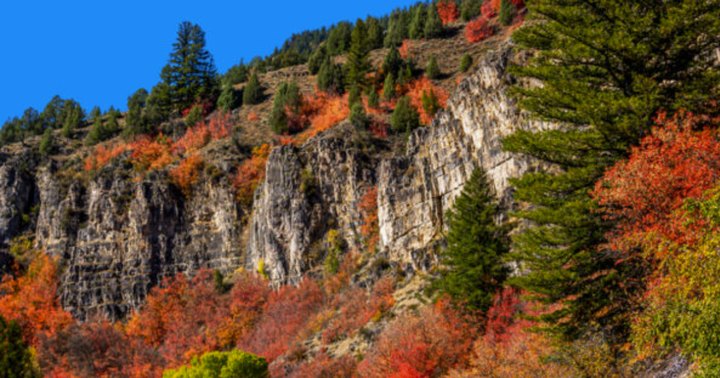 The 20 Best Places To See The Most Beautiful Fall Foliage Across America